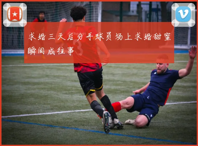 求婚三天后分手球员场上求婚甜蜜瞬间成往事