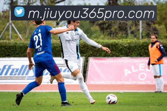 九游娱乐平台生态图